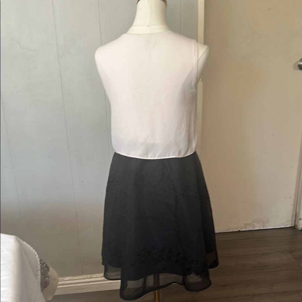 Elegant Black and White Midi Dress - Picture 4 of 6